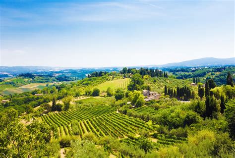 Valpolicella | Italy landscape, Toscana italy, Landscape