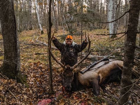 First Time Hunter Grandmother Tags Bull During Wisconsin Elk Season