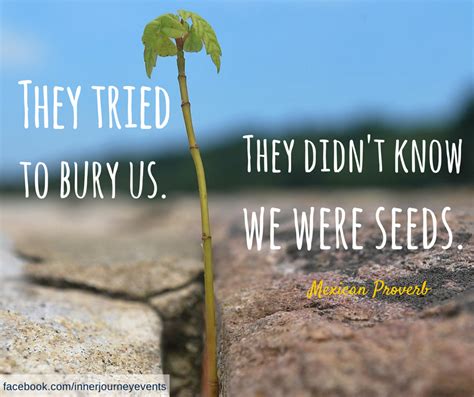 Quote Mexican Proverb They Tried To Bury Us They Didnt Know We Were