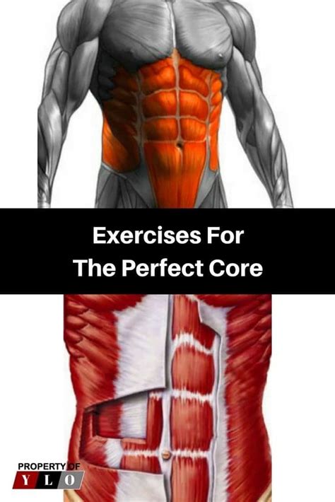 The Importance Of Core Fitness 3 Fitness Tips For Men Core Workout