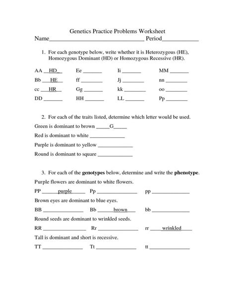 The recessive alleles of these two genes result in black body. Genetics Practice Problems Worksheets