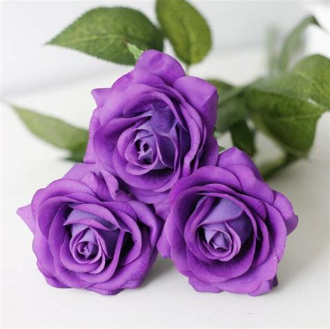 Online Get Cheap Real Purple Roses
