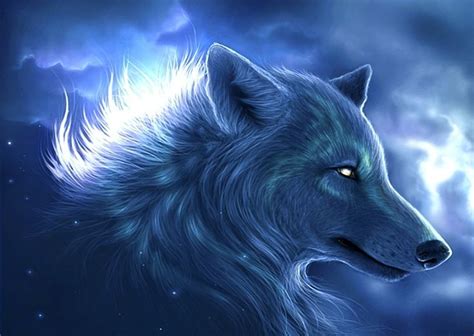 Cool Wolf Profile Pictures