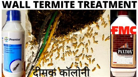 Wall Termite Treatment Termite Control Treatment Best Termite