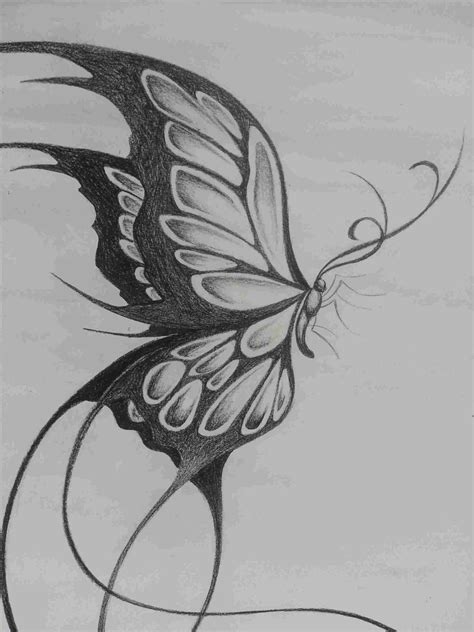 Mariposa Dibujo A Lapiz Mariposas Dibujos A Lapiz Mariposas A Lapiz