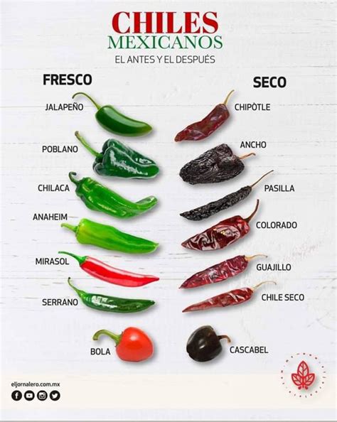 Infografia Sobre Comida Mexicana Tipos De Chiles Recetas De Bebidas