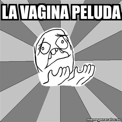 Meme Whyyy La Vagina Peluda 18128783