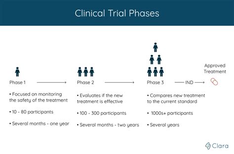 Phases Of Clinical Trials Chart
