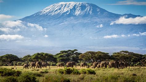 Travel Guide To Tanzania The Luxury Travel Expert