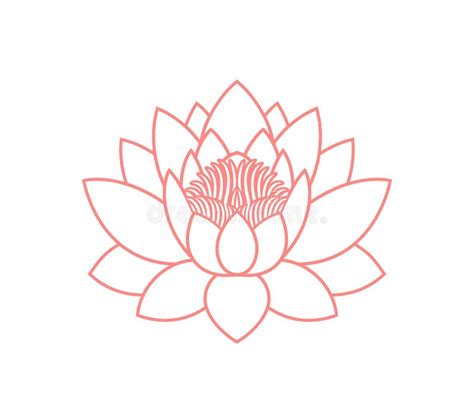 Lotus Flower Outline Stock Illustrations 18061 Lotus Flower Outline