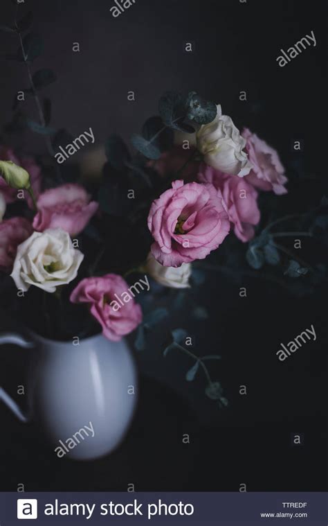 Flower Heads Leaves Hi Res Stock Photography And Images Alamy