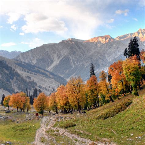 Arrival Of Autumn In Kashmir Mapping Megan