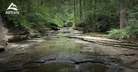 10 Best Hikes And Trails In Clifty Falls State Park Alltrails