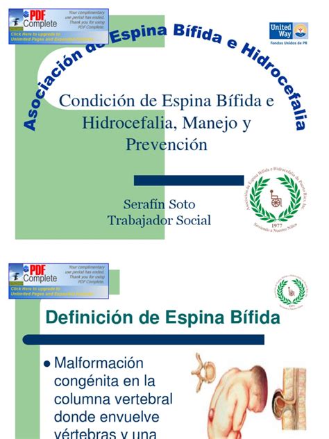 Asociación De Espina Bifida Pdf Médula Espinal Enfermedades Y