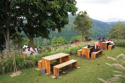 Tren Gaya 30+ Konsep Cafe Outdoor Di Bandung