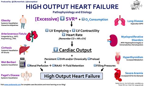 Pathogenesis Of Low And High Cardiac Output Heart Failure Reproduced