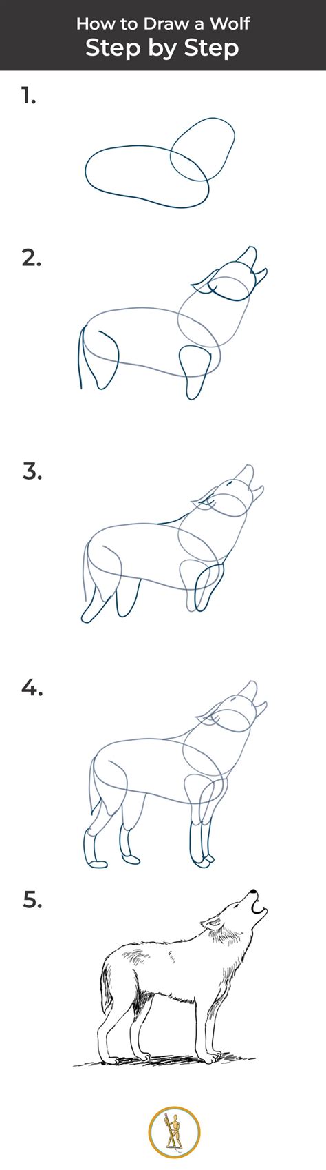 How To Draw A Wolf Step By Step