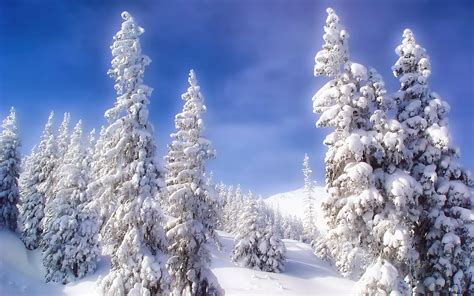 Winter Hd Background Wallpapers Hd Wallpapers Blog
