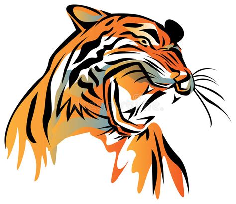 Tiger Head Vektor Abbildung Illustration Von Wildnis