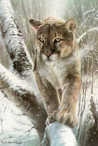 The photo with the most likes will be used as our banner picture for the next 24hours once contests ends tomorrow at. Vivi Crandall Gallery | Sold Out Prints | Big cats art ...