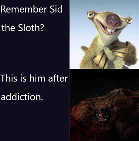 Clean Funny Sloth Memes