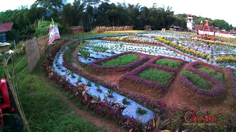 Taman bunga pandeglang banten ( foto @suci_juliyani). Wisata Pandeglang Taman Bunga : Taman Bunga di Wisata ...