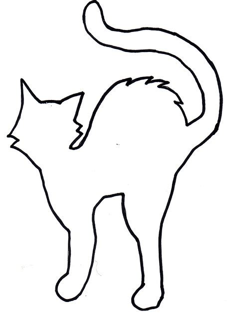 Shelterpop Cat Template Flickr Photo Sharing