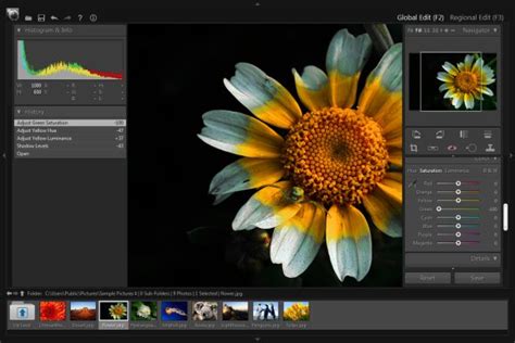 Easy And Powerful Photo Editing Software Pt Photo Editor