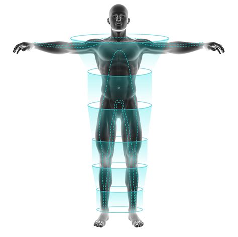 Evolt Body Scan Healthworks Fitness