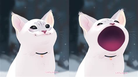 🐈 Pop Cat Meme Pop Cat Cute Anime Chibi Cat Art