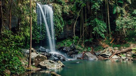 Top 7 Waterfalls To Visit On The Gold Coast Destination Gold Coast
