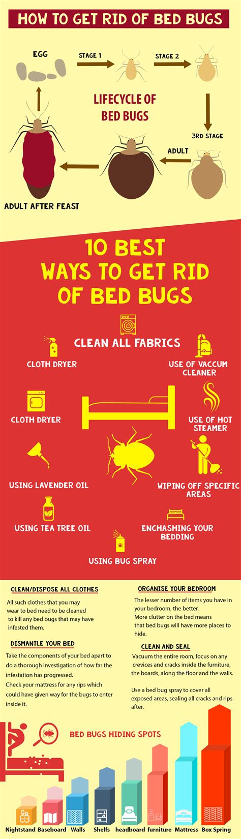 10 Tips On How To Get Rid Of Bed Bugs Infographics