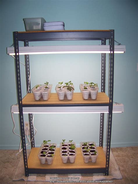 Create Your Own Grow Light Shelving Unit