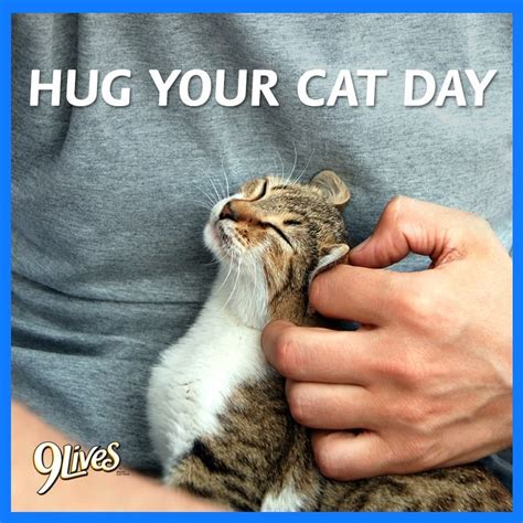 Hug Your Cat Day 6413 Hug Your Cat Day Cat Day Cats