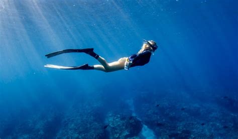 To scientists until the later part of the 19th century. Q&A with Marine Biologist Brinkley Davis - The Footnotes