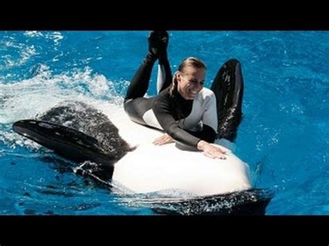 SeaWorld Trainers in the Water with Killer Whales (The Complete 2009
