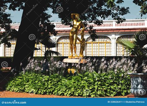 Saint Petersburg Russia July Apollo Fountain In Peterhof Near The Monplaisir Palace