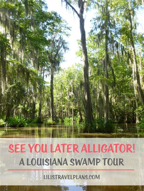 See You Later Alligator A Louisiana Swamp Tour Swamp Tours