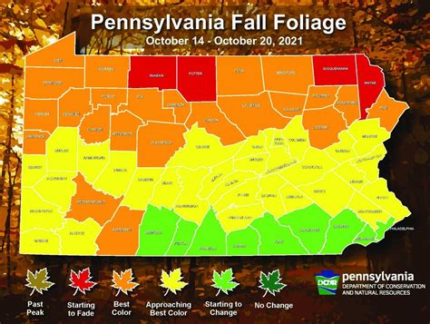 Peak Fall Foliage Covers Northern Half Of Pennsylvania Says Weekly