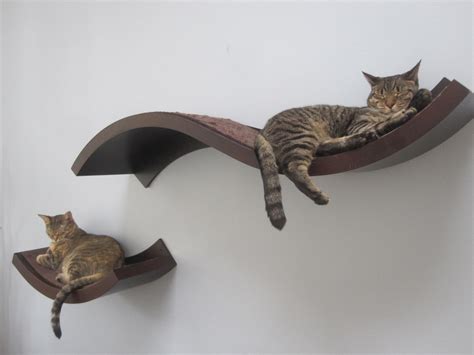 Predrill holes down through back corners of remaining long edge of plywood and into sill; Woodwork Cat Shelves PDF Plans