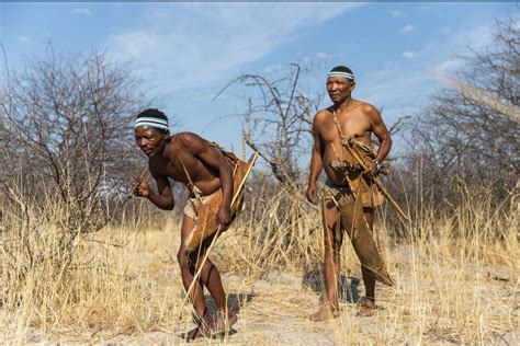walking with the bushman clive horlock shares the ancient wisdom… by wild ark wildark