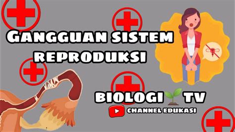 Gangguan Pada Sistem Reproduksi Biologi Sma Kelas Bab Sistem