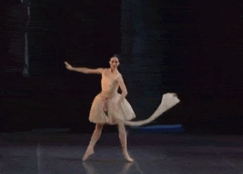 Dance Ballet  Find And Share On Giphy