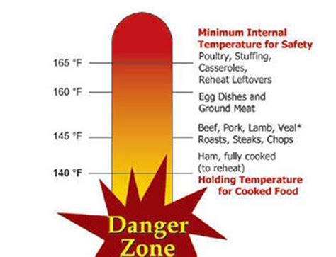 What Is The Temperature Danger Zone All You Need Infos