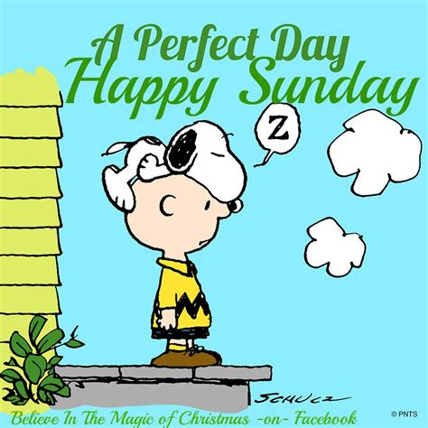 Happy Sunday Charlie Brown And Snoopy Charlie Brown Quotes Charlie Brown
