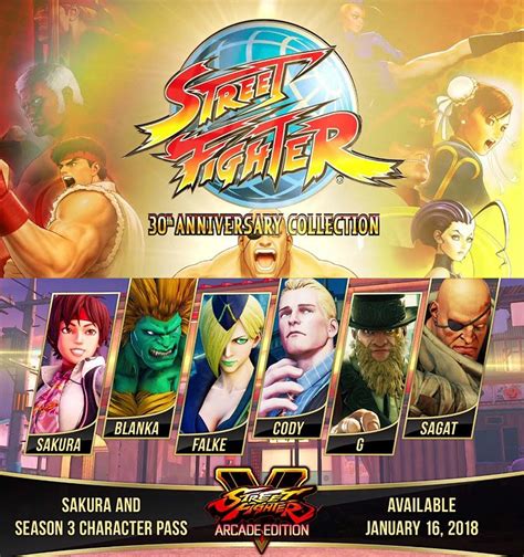 The Crusaders Realm Street Fighter Sf 30th Anniversary Collection