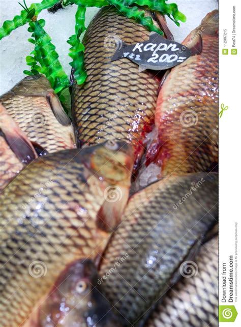 Carp Fresh Fish On Ice Stock Image Image Of Fish Background 112087215