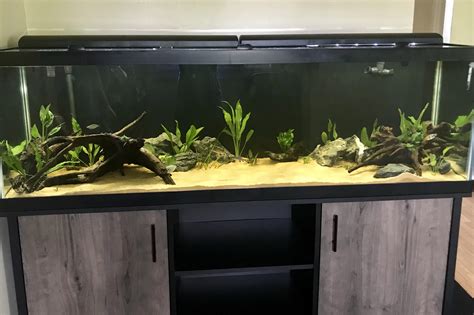 My 125 Gallon Just Finished Cycling Any Suggestions Its The Largest