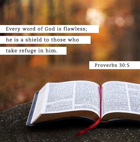 The Living — Proverbs 305 Niv “every Word Of God Is