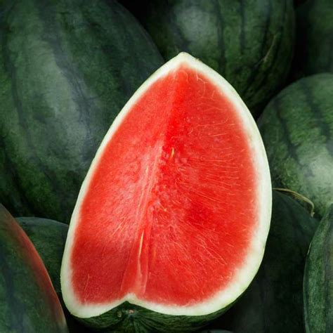 Red Seedless Watermelon Cut 15kg Malaysia Mygroser
